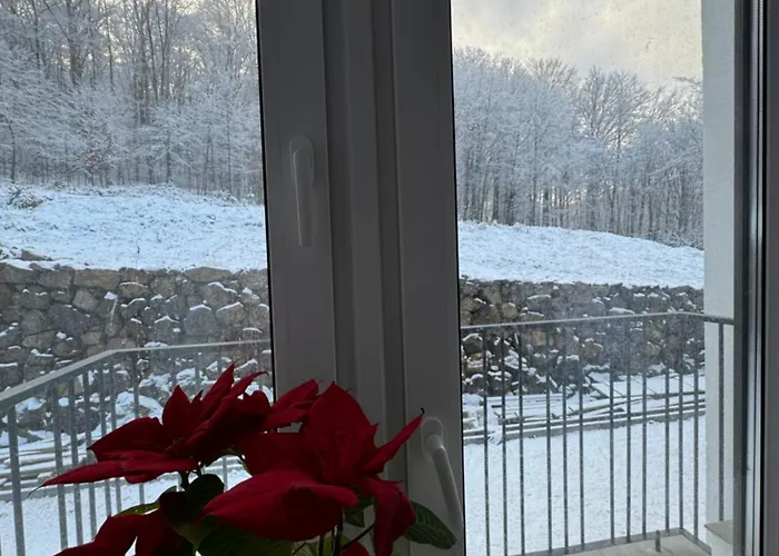 Park House Aparts * 波利亚纳